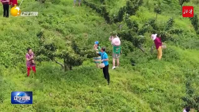 穿山越岭皆成韵，窗外山河次第开