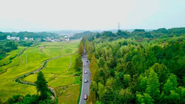 【交旅融合看皖南】交旅融合看黄山，旅游风景道上跑出“加速度”！