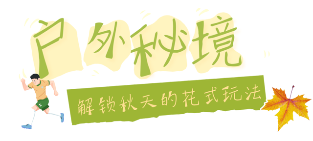 周末好去处丨就在明天！“齐鲁超赛”火热来袭