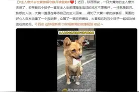 主人意外去世黄狗留守数月被救助：它一直在等待自己的主人回来图片