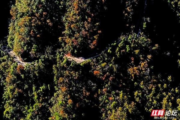 怀化中坡山，层林尽染的氧吧，市民天天逛、摄影家追着拍