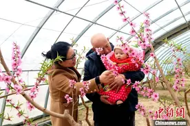 央媒看武威丨甘肃民勤高效多元发展荒漠农业 构“沙海金腰带”产业矩阵图片