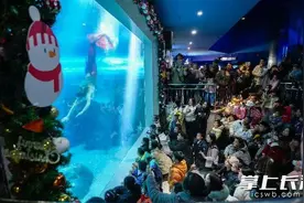 长沙海底世界：极地鹅宝总动员，快乐过新年图片