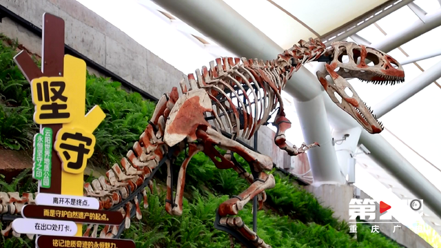 中国国家地理恐龙主题自然驿站落地云阳