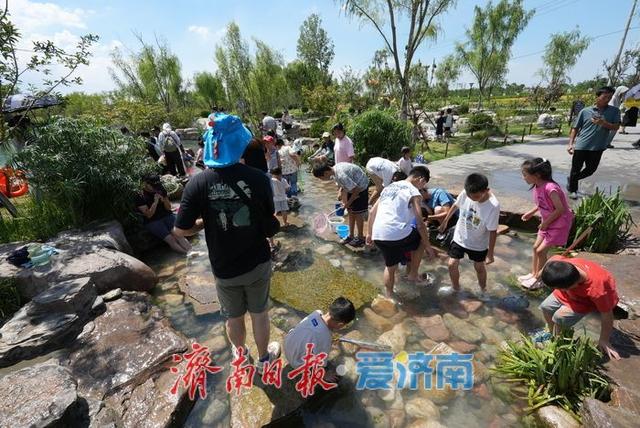 一年四季 泉在济南丨叮咚泉水映童趣，“泉涌白沙”醉游人