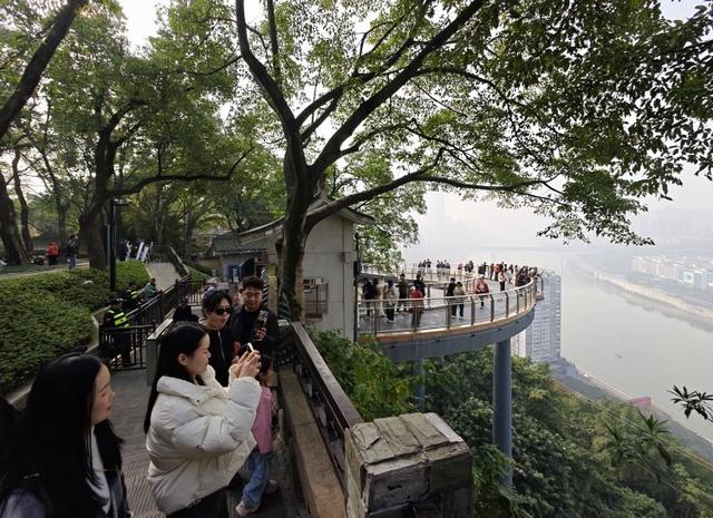 冬日暖阳上线！市民鹅岭栈桥“追光”