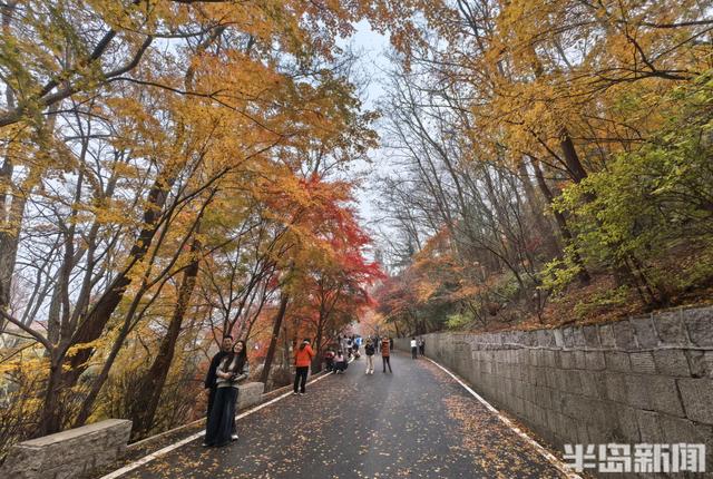 北九水网红路，周末打卡人气高！