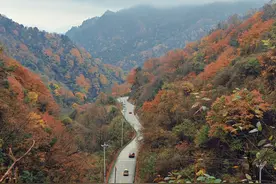陕西留坝：阡陌交织，描绘现代版“富春山居图”图片