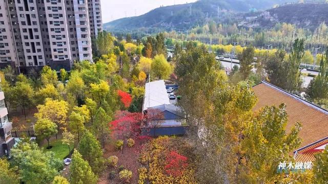 神木滨河新区秋色如画 邂逅诗意生态美景