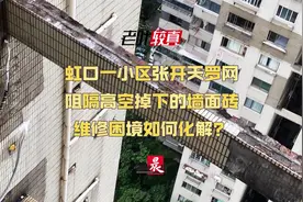 老叶较真丨虹口一小区搭防护网拦墙面砖高空坠落，想维修却因资金陷入困境图片