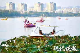 松弛感轻松拿捏，这个周末你去露营了吗？图片