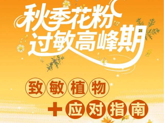 北京日报社区小板报 | 地坛书市、天桥夜市，周末有吃还有玩