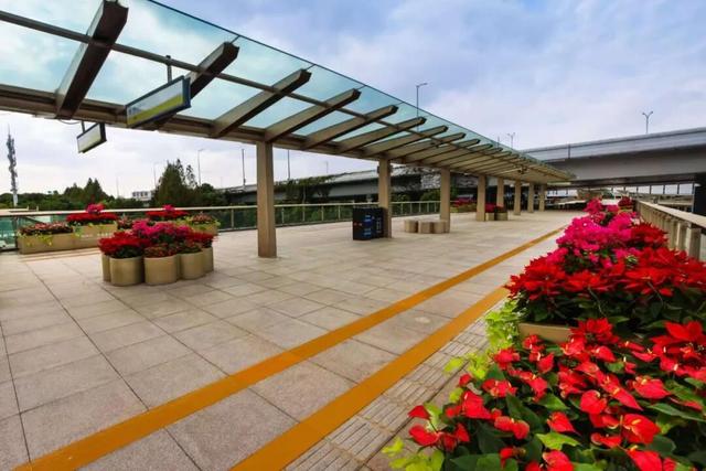 高颜值！闵行这里也太美啦，约吗→