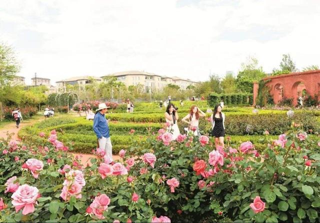 清凉旅居、火把节狂欢……这个夏天，就来云南避暑，美美吃菌~