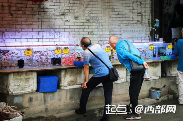 我家门口变了样｜从“老西安档子”到“新晋打卡地” 西仓市集的“逆生长”密码