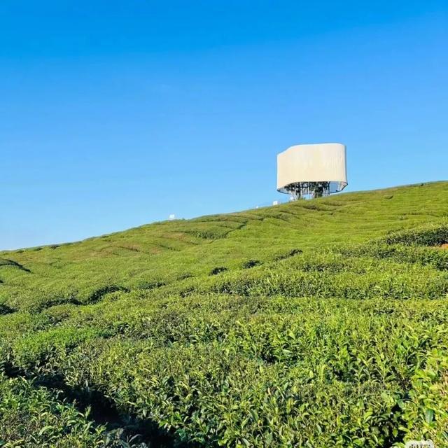 5条非遗特色主题线路 解锁瓷都文化新体验