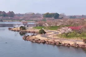小编给您送票啦！奉贤这里梅香四溢，一键解锁春日高级感朋友圈→图片