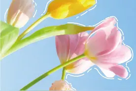 济南近郊值得一去的免费春季赏花地，给大家盘点好了！图片