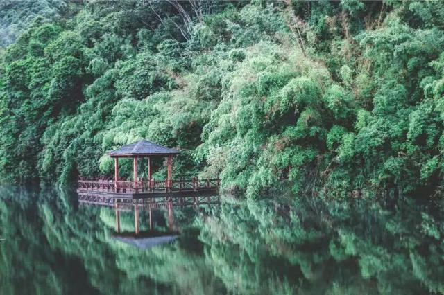 元旦嗨玩钦州，专属景区优惠合集来啦~