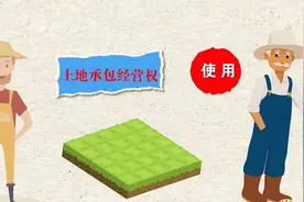 转让容易返还难，村民如何用法律帮助自己收回土地？图片