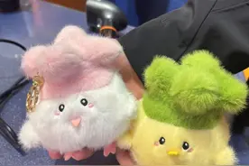 互联网集体创作反哺现实：武汉市民造梗“蒜鸟”，带火文创，全国游客买单图片