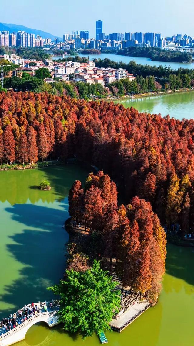 假如秋冬有颜色，肇庆便是一场多彩盛宴～