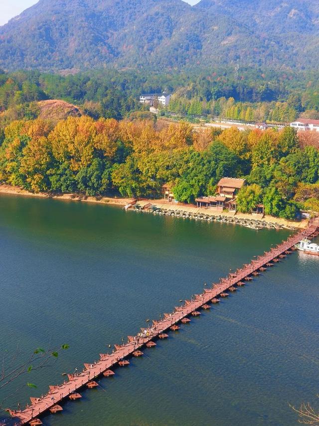龙虎山藏着“神仙玩法”？这个周末，青萍剑+八段锦免费学！