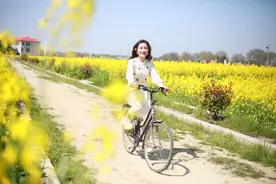 宁乡这些赏花好去处，你知道吗？图片