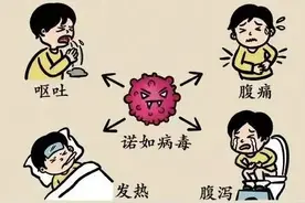 旅游区要重点防！这种呕吐腹泻传染性强，易在群体中传播图片