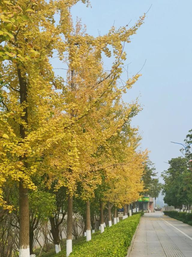 别眨眼，接下来的新干是这样的→