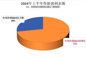 经导数据酷｜74只鲁股业绩预喜 齐翔腾达净利增超5倍图片