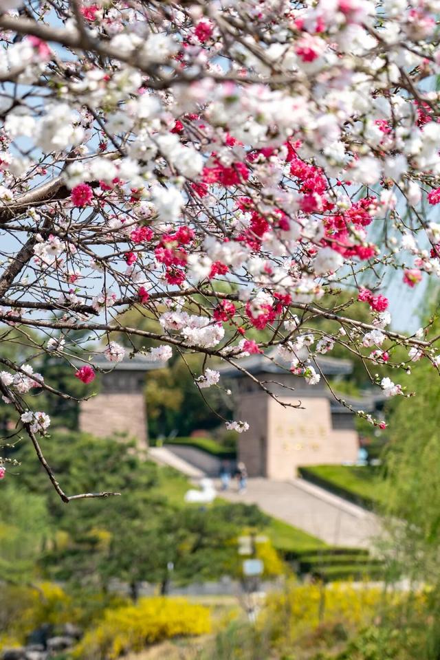 四时天工 扬州如画