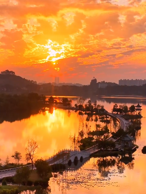 增城荔湖上演“天空之镜”，日出红霞美成仙境！