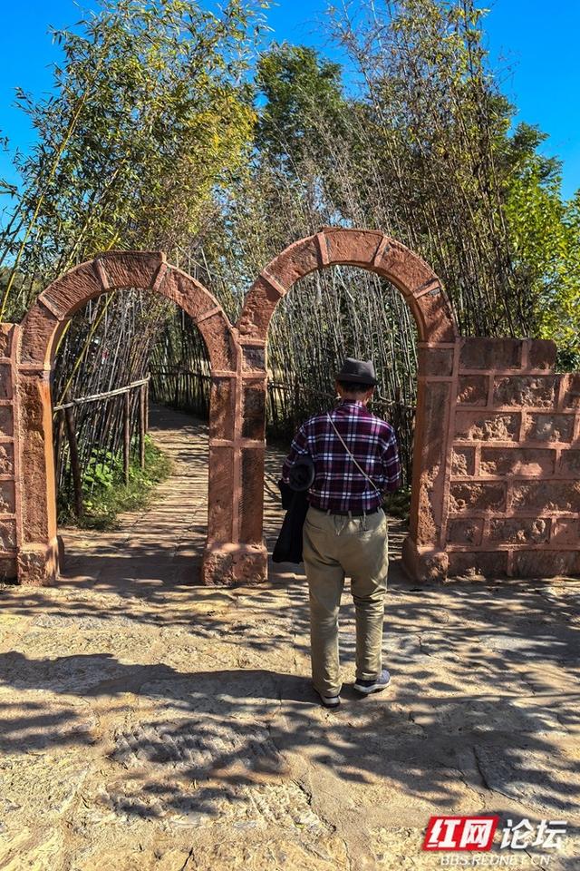 百米江滩何以聚人气？探秘株洲网红地标“大石围”