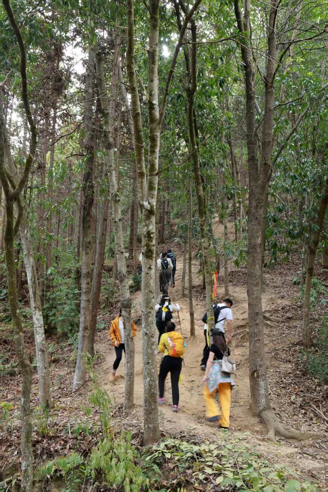 晚潮｜绿野仙踪，千岛湖牧心谷徒步