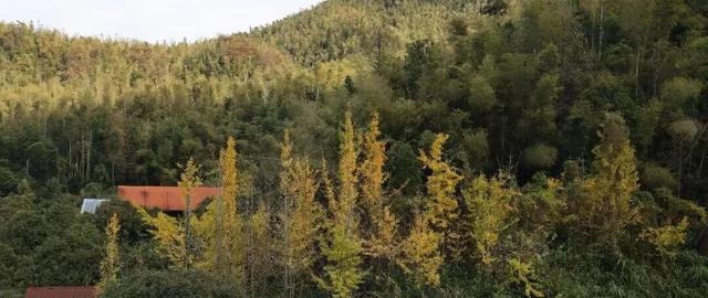 向云端，17分钟，这条云端索道全攻略来啦！