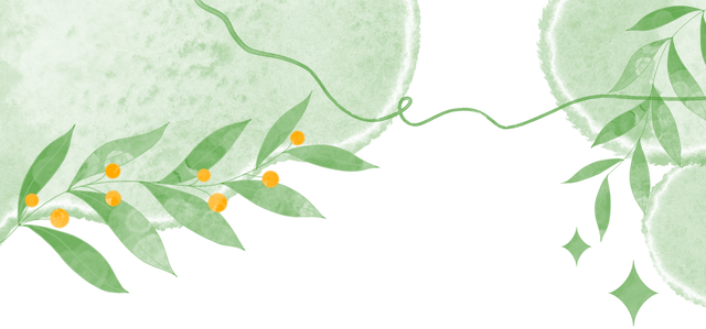 碧水黛瓦织锦绣！这个上海小镇，把江南诗篇写进了现实