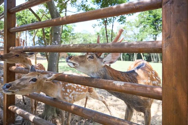 连休五天，浙L大部队已到……