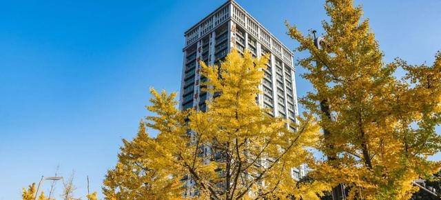 超美！大邑人的顶流来了