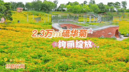 景区酒店齐发力！南宁“宠”你到底！欢迎全国的小伙伴，开启邕城畅玩之旅