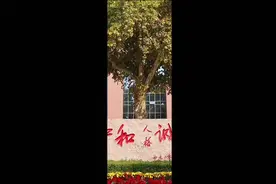 家乡人眼中的薛其坤①：院士的母校情结图片
