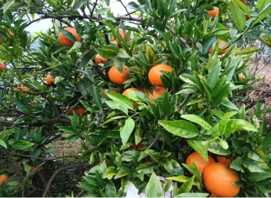 永川“留娃”去处上新→