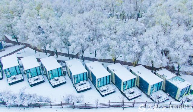 那拉提：雪花轻舞绘就清雅丹青