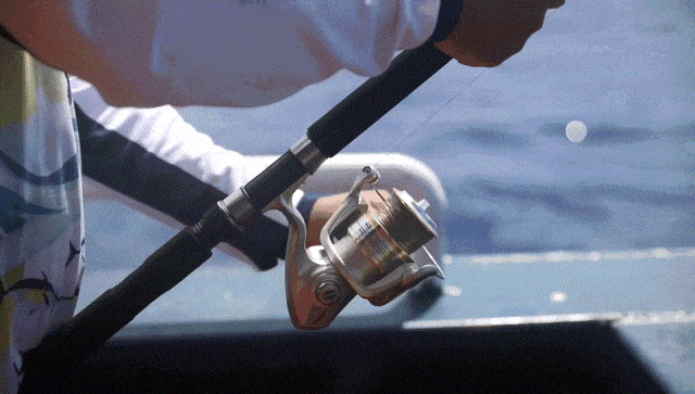 来南沙看五月天！看海、骑行……100+网红打卡点合集→