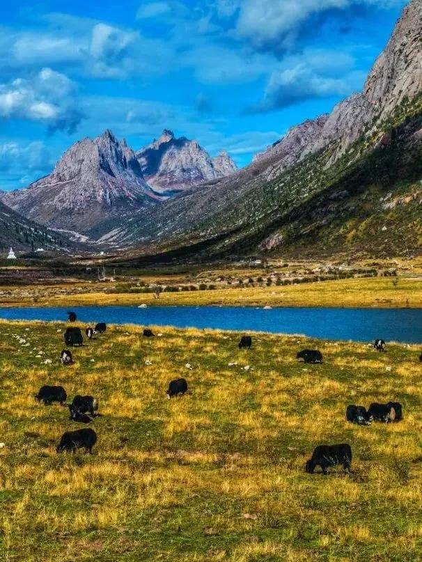 四川太宠粉啦~🤭“川超”门票免费游景区,你用过吗?