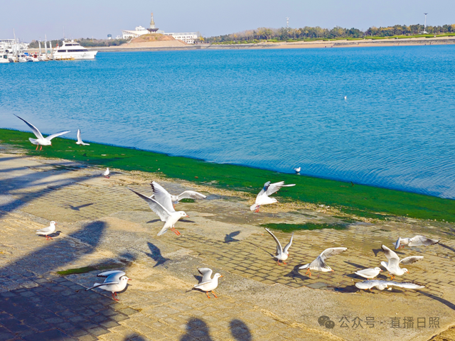 老朋友，又回来了！