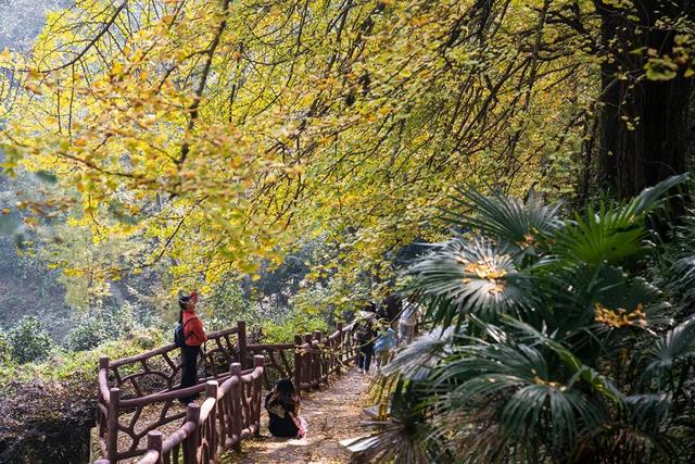 不上班，就上山！