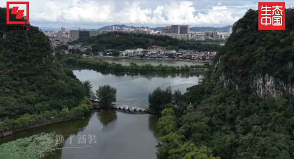 刚刚，全网首发！央视再度聚焦肇庆