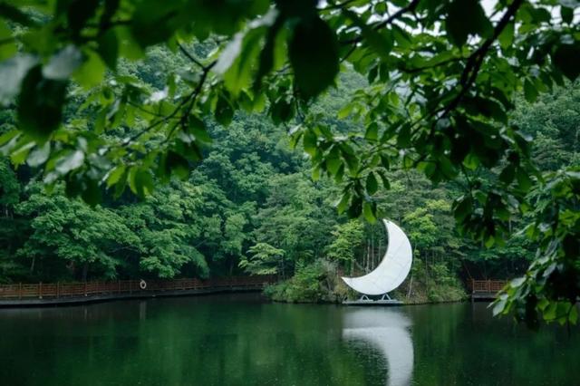 停！来存几个洛阳景点拍照打卡点位！