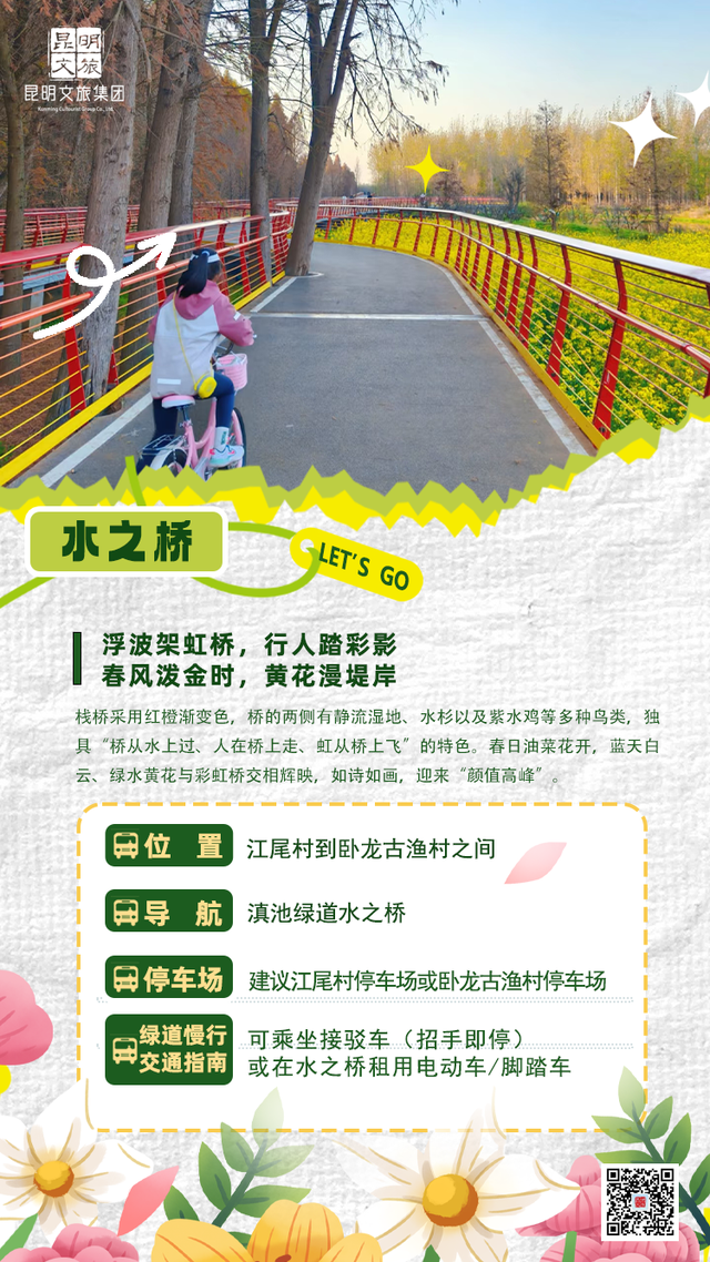 爆爆爆！滇池绿道成为这个暑期最火骑行IP